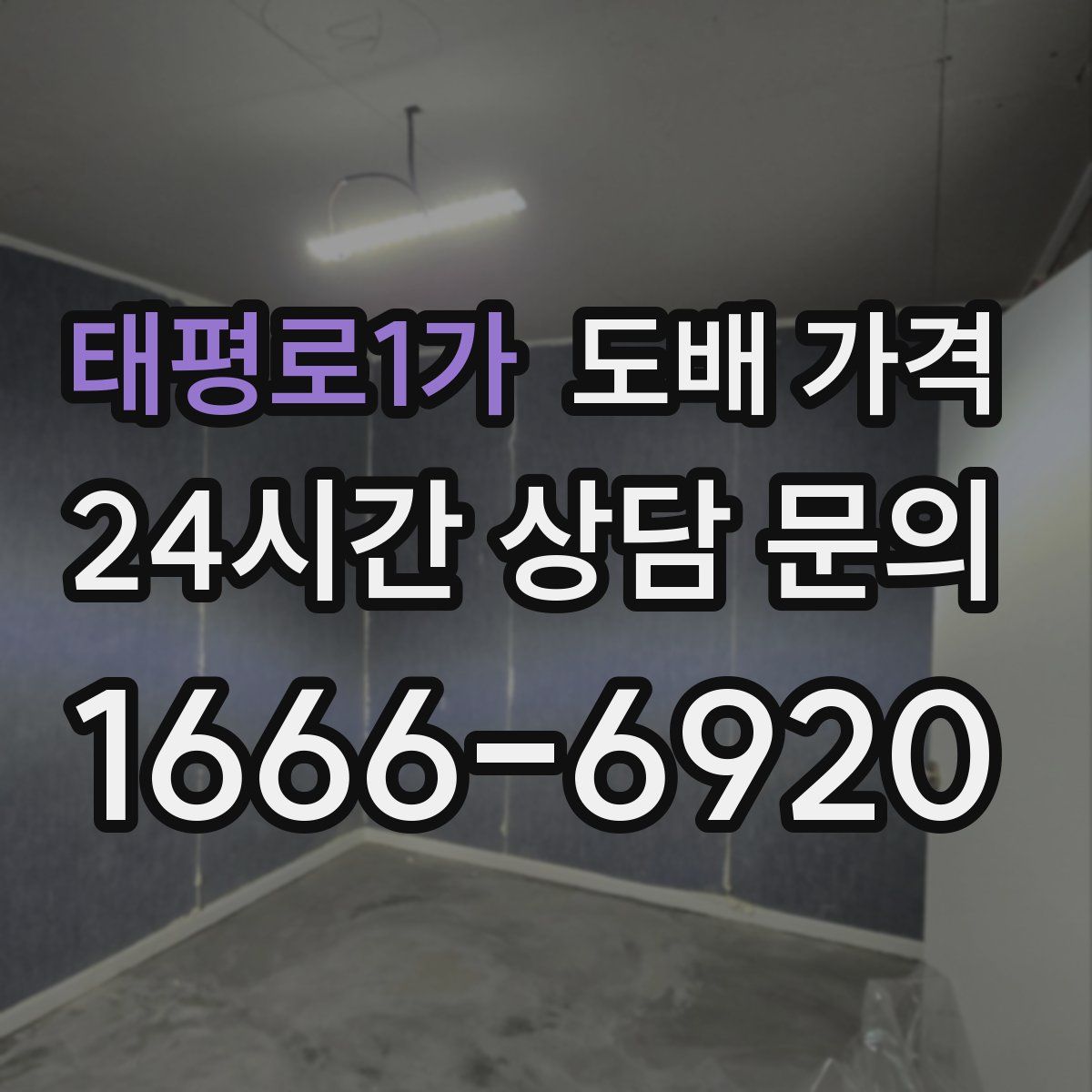 태평로1가 도배 가격