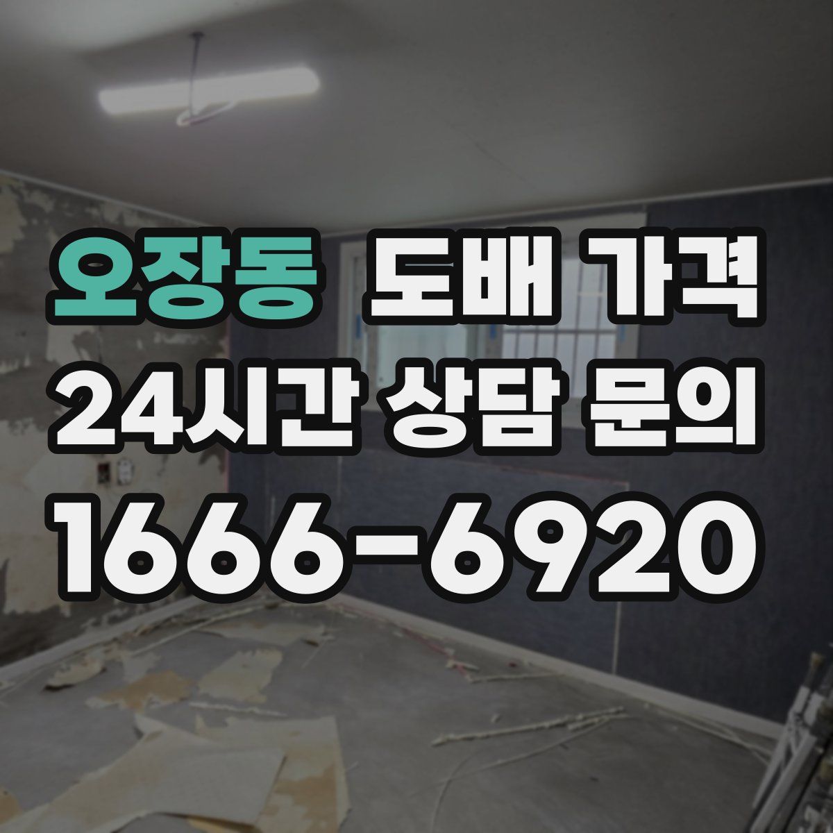 오장동 도배 가격