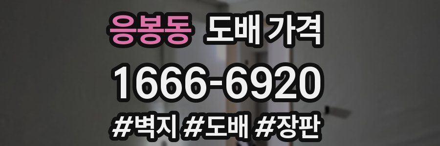 응봉동 도배 가격