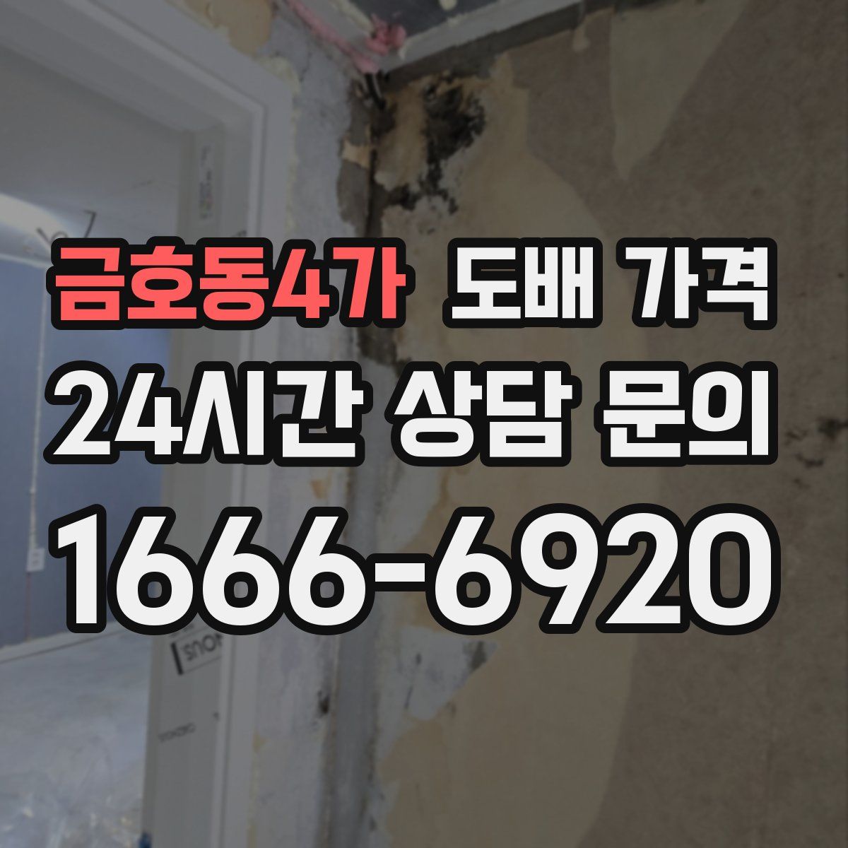 금호동4가 도배 가격
