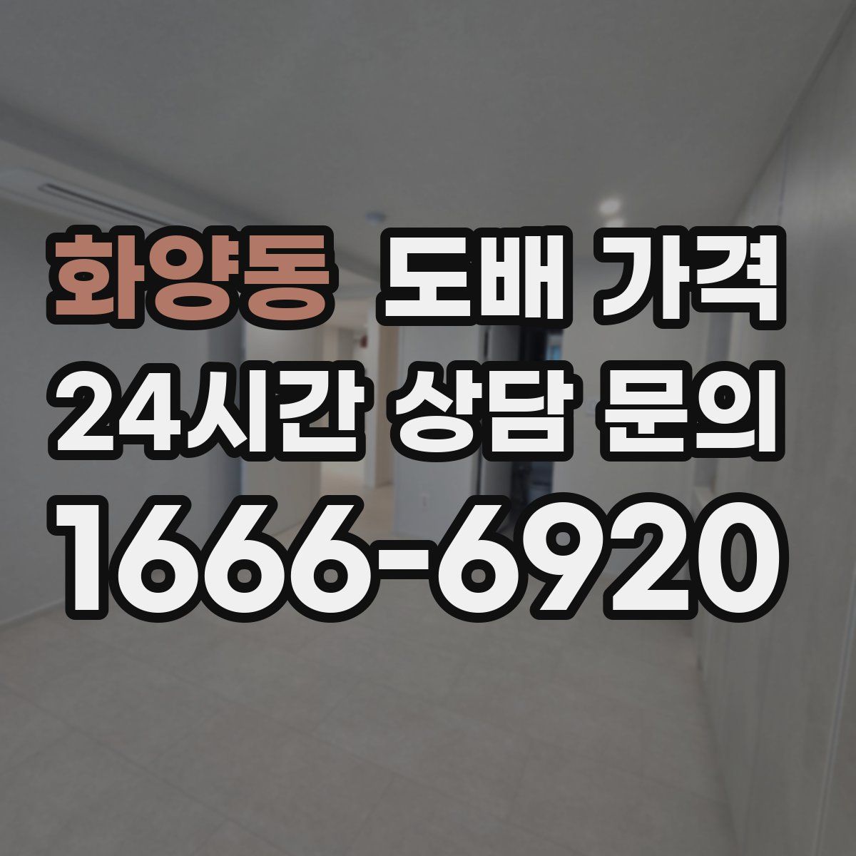 화양동 도배 가격