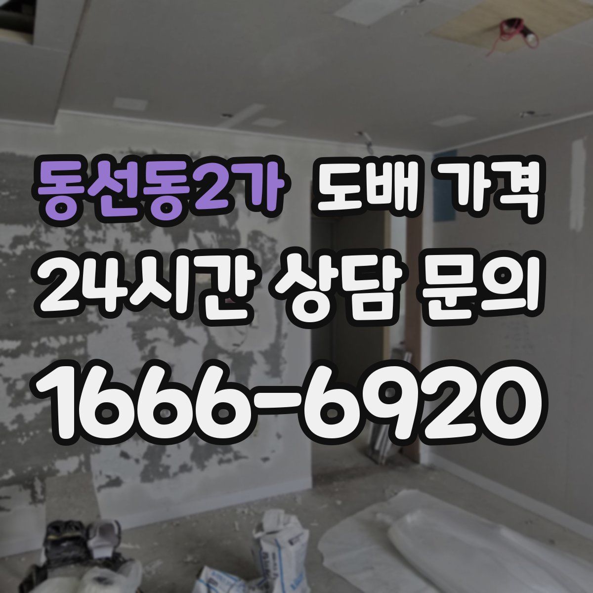 동선동2가 도배 가격
