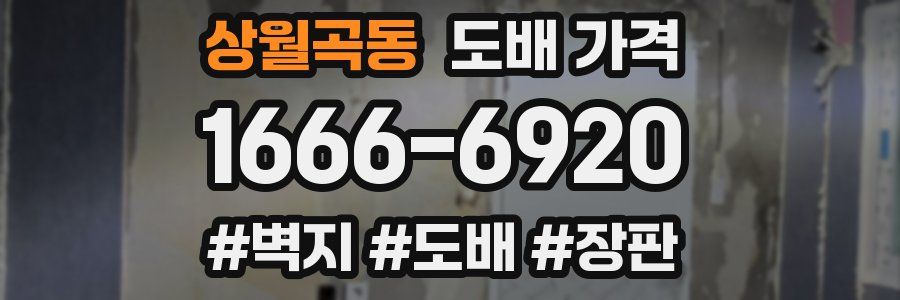 상월곡동 도배 가격