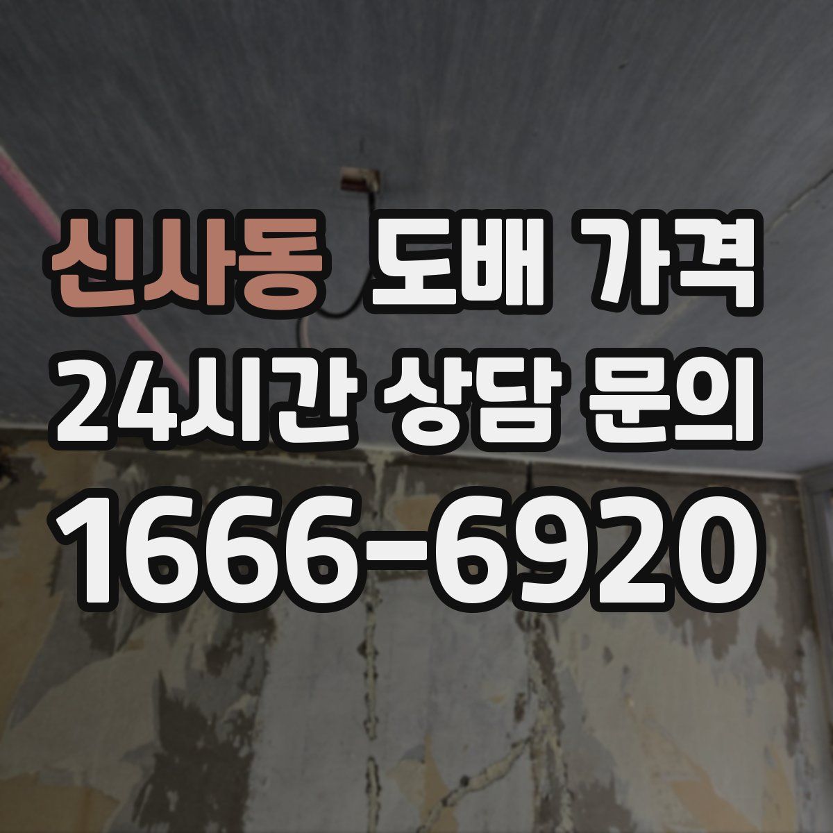 신사동 도배 가격