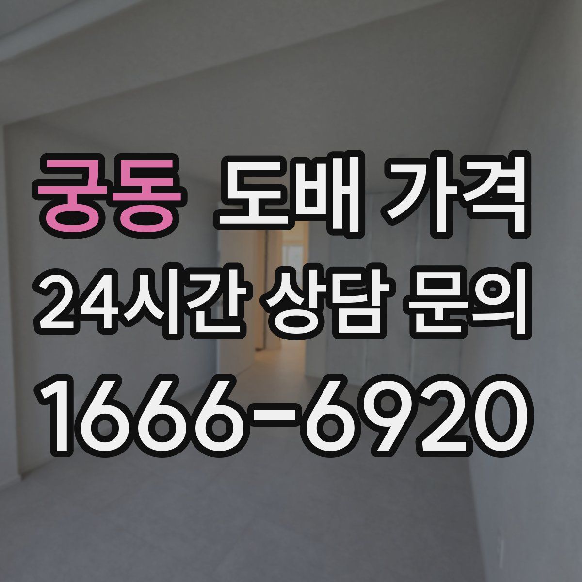 궁동 도배 가격
