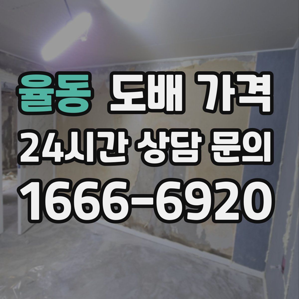 율동 도배 가격