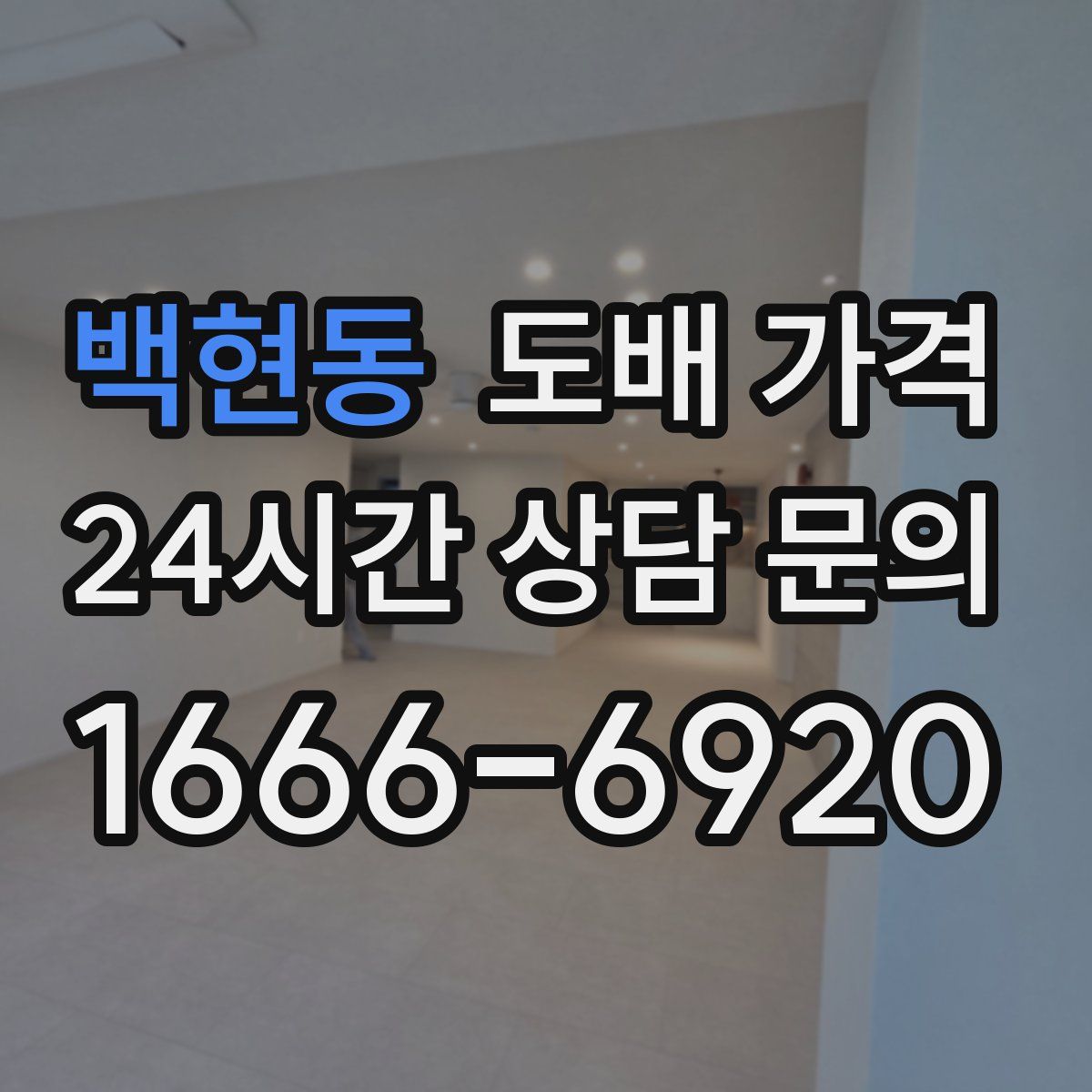 백현동 도배 가격
