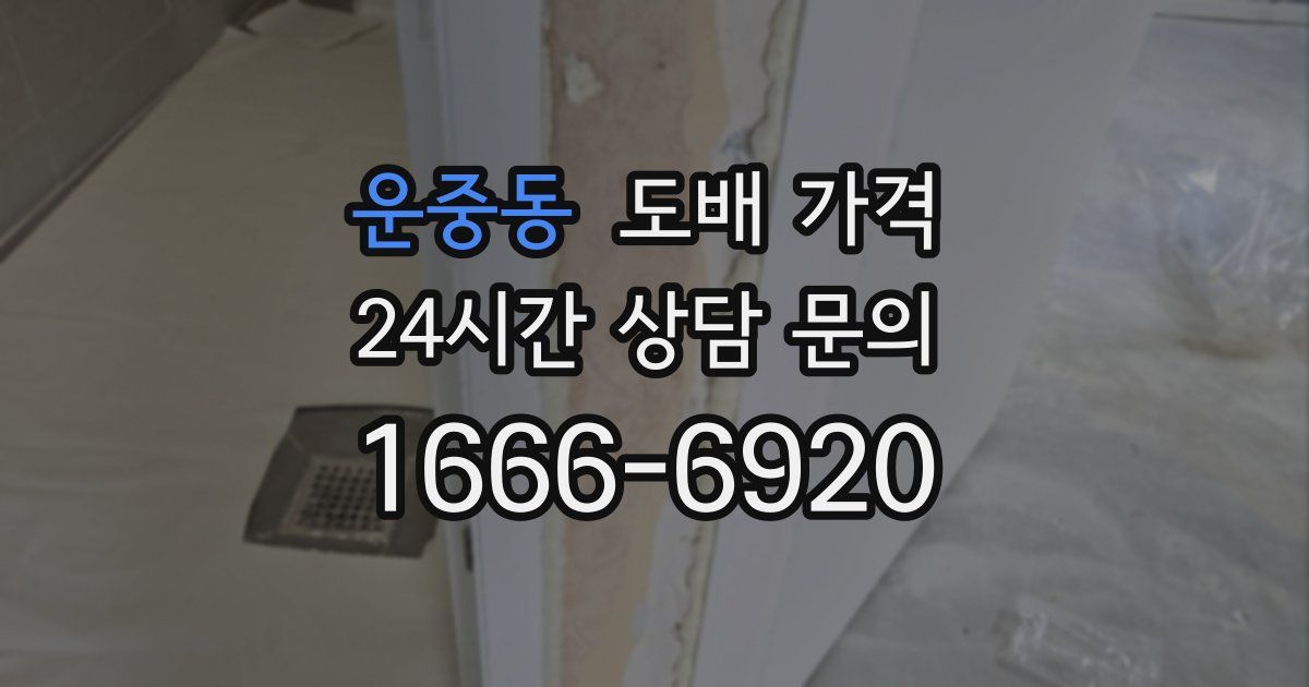 운중동 도배 가격