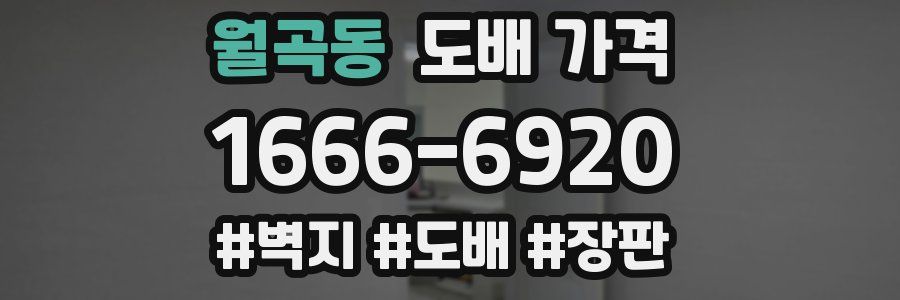 월곡동 도배 가격