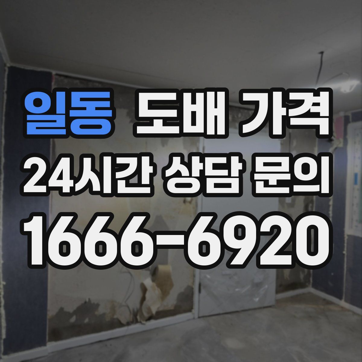 일동 도배 가격