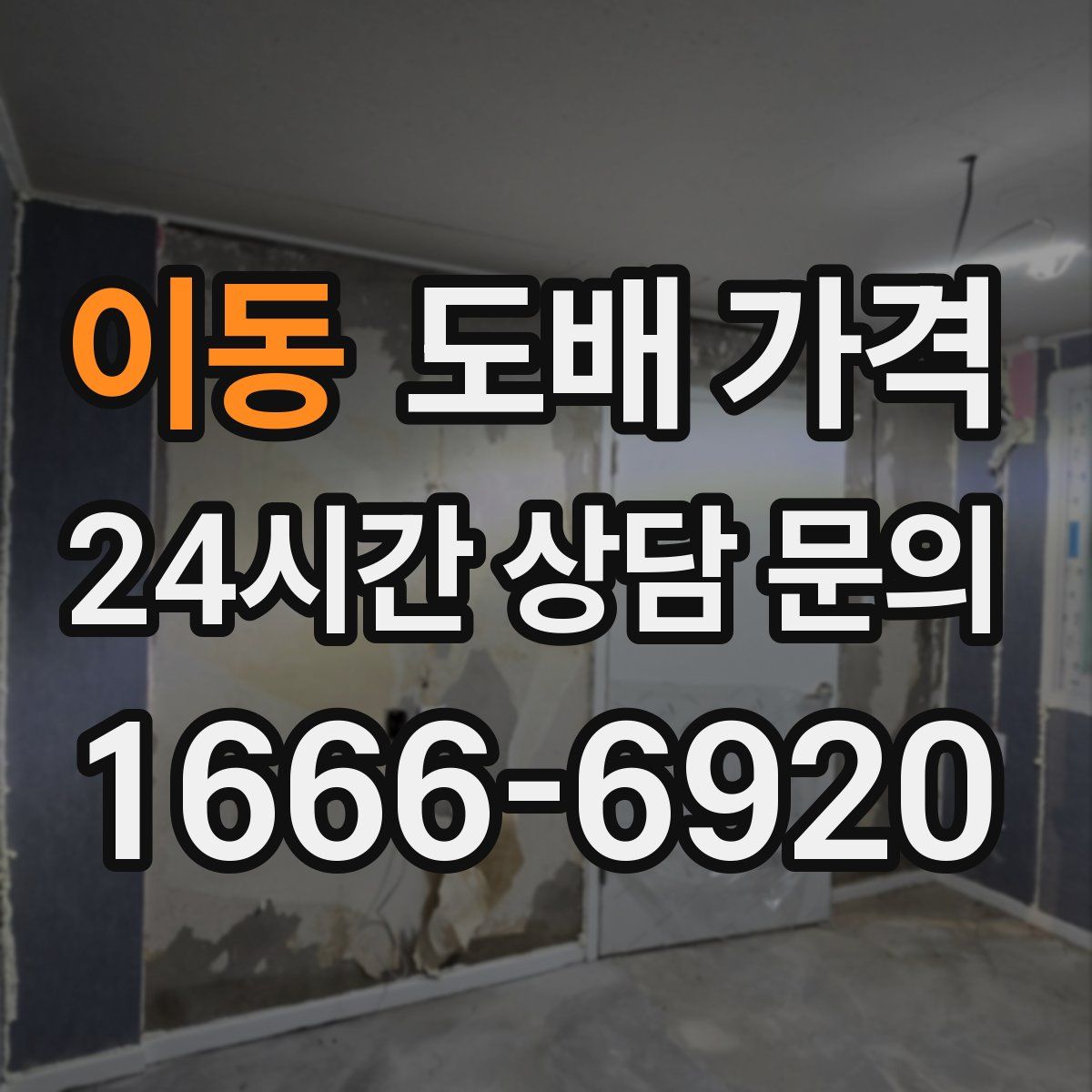 이동 도배 가격