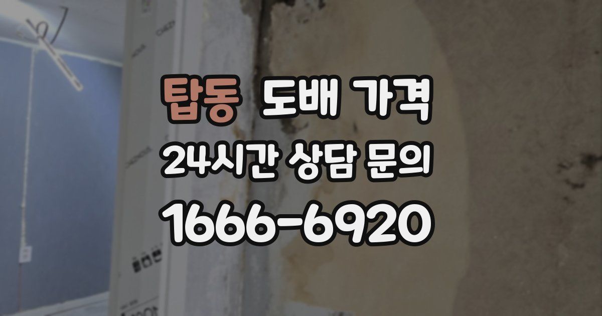 탑동 도배 가격