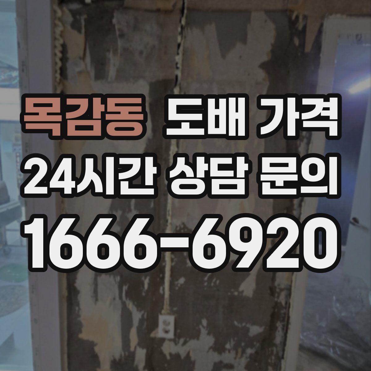 목감동 도배 가격
