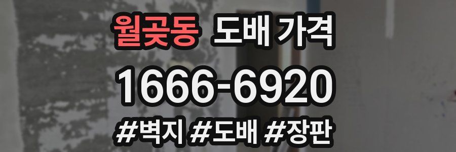 월곶동 도배 가격