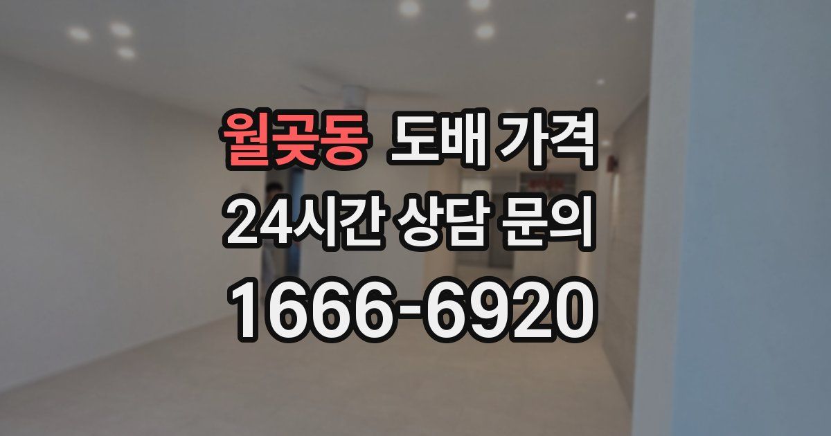 월곶동 도배 가격