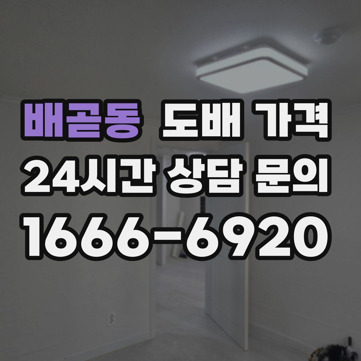 배곧동 도배 가격