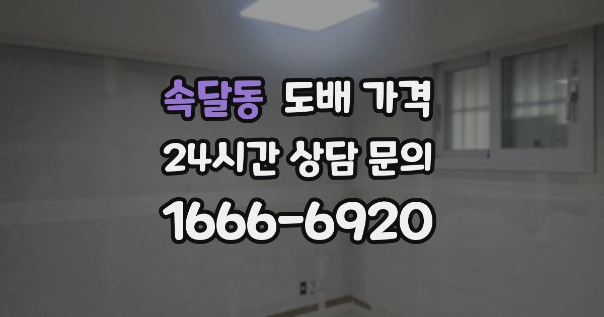 속달동 도배 가격