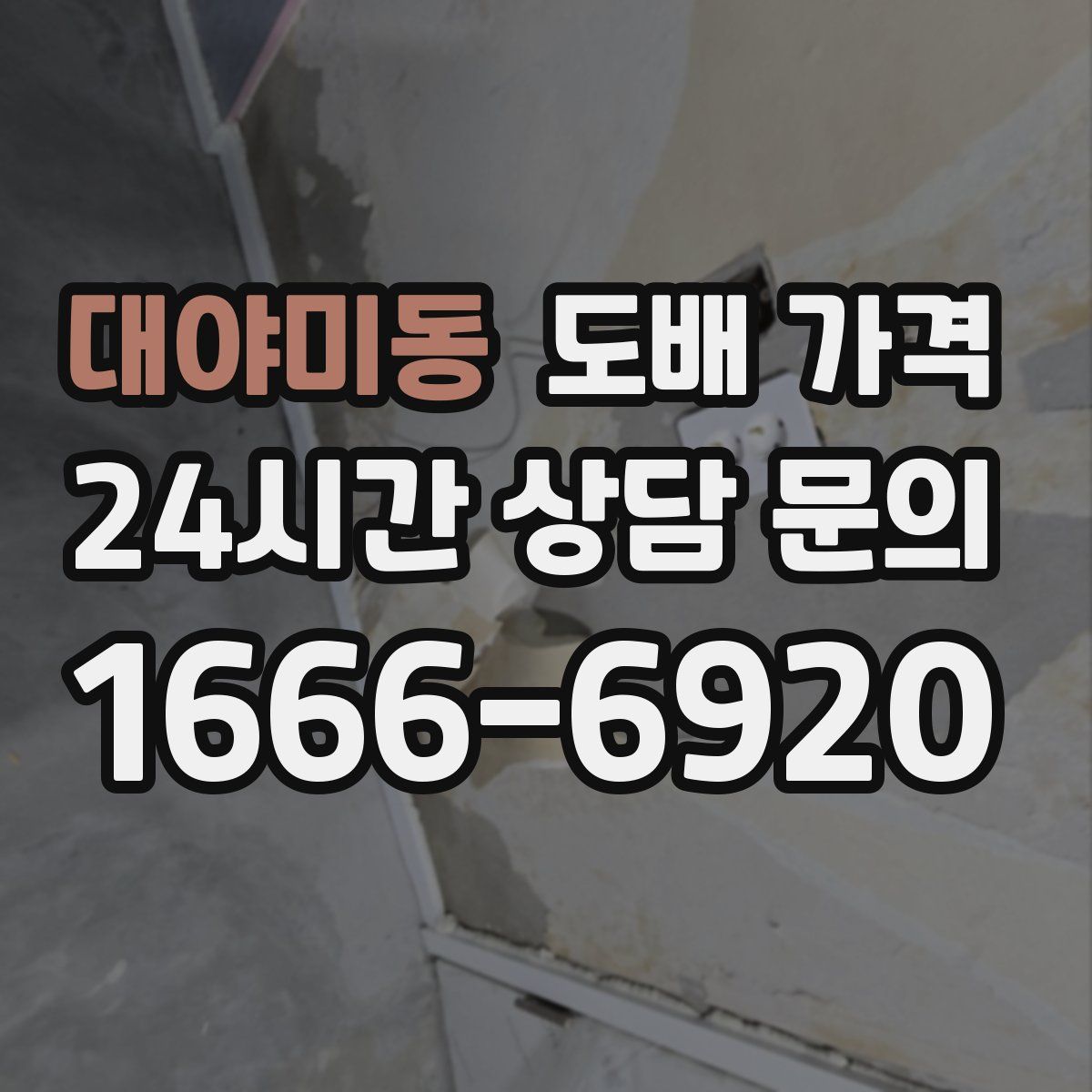 대야미동 도배 가격
