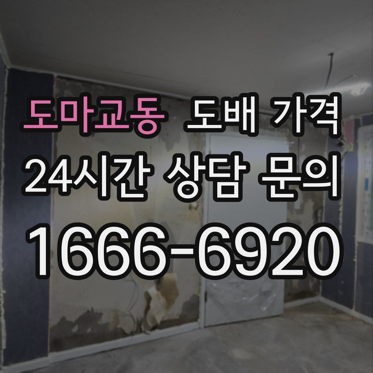 도마교동 도배 가격