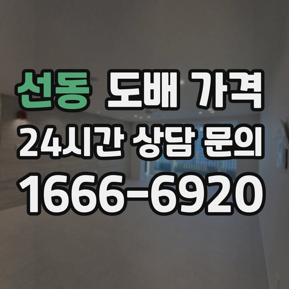 선동 도배 가격