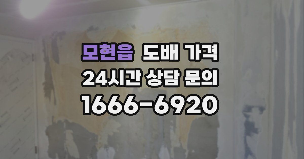모현읍 도배 가격