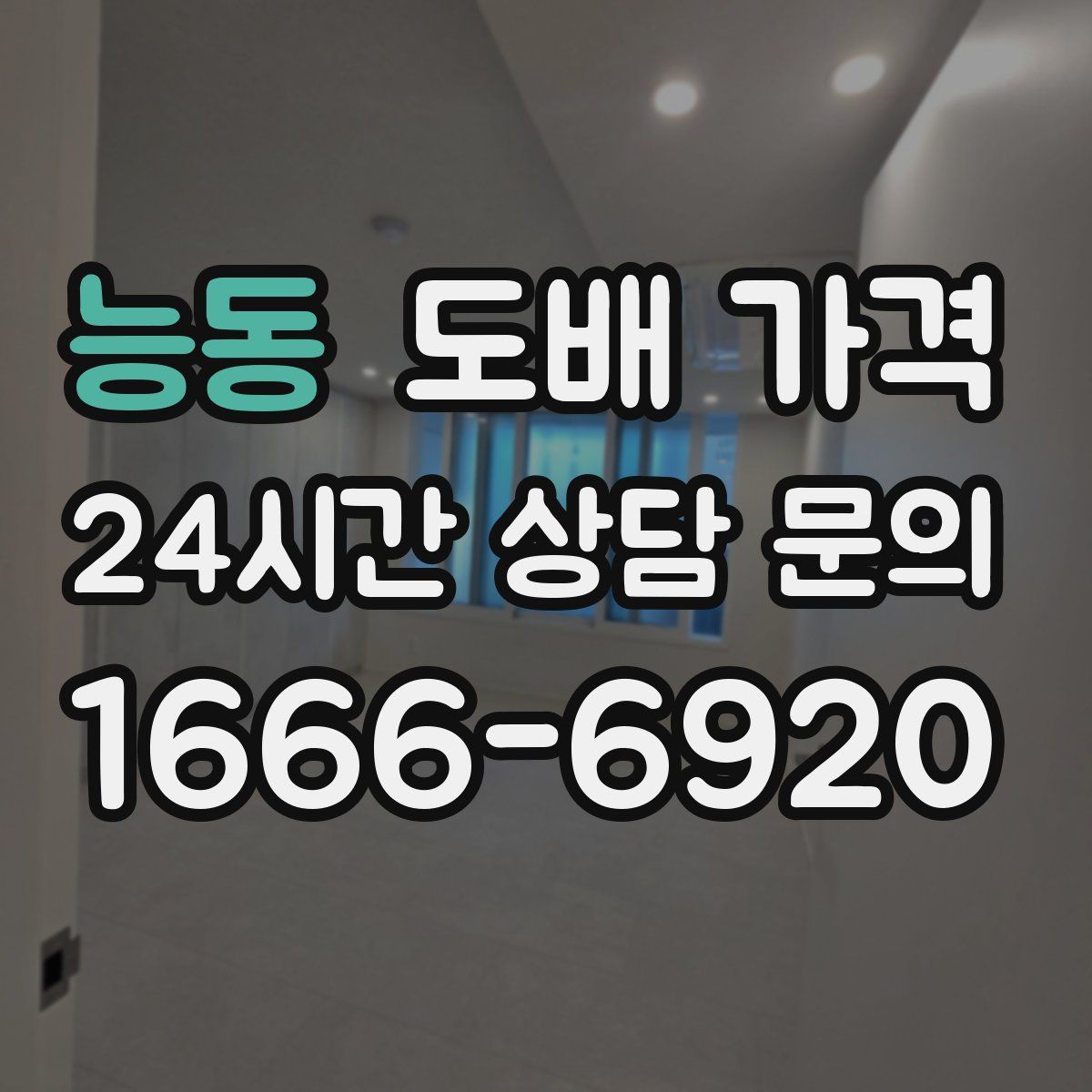 능동 도배 가격