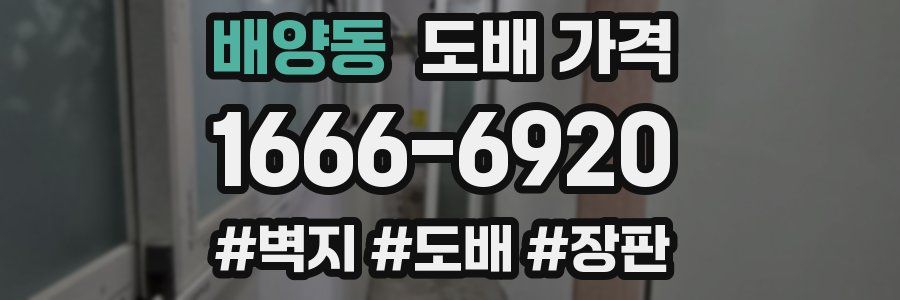 배양동 도배 가격