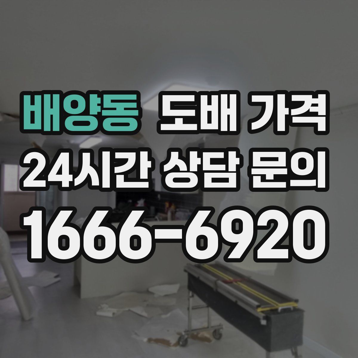 배양동 도배 가격