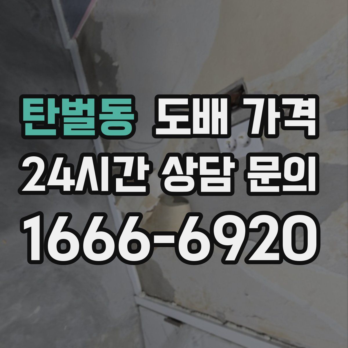 탄벌동 도배 가격