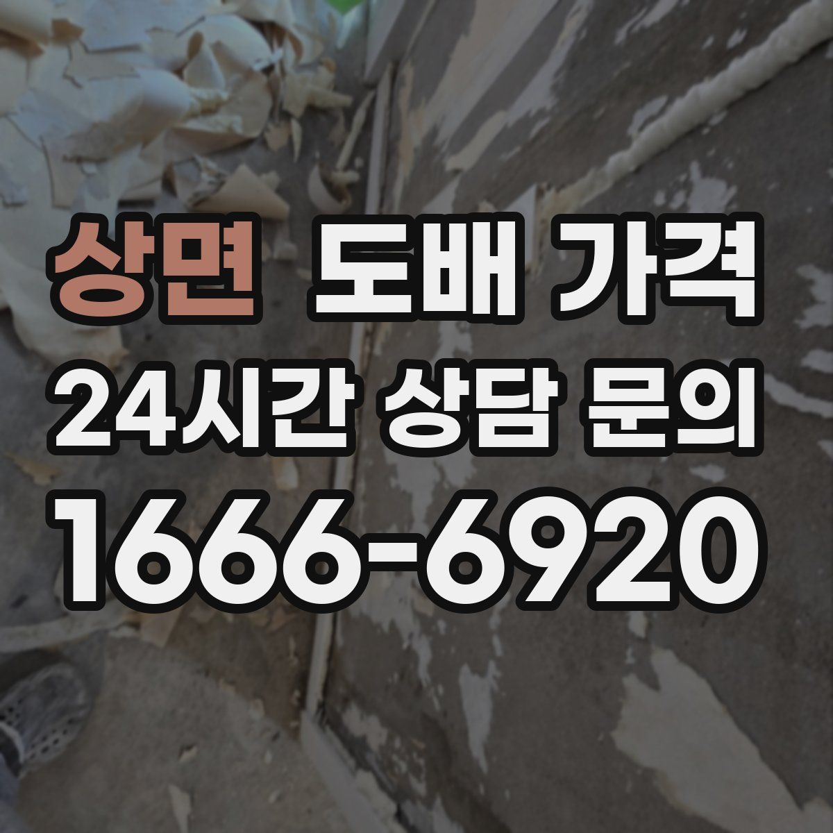 상면 도배 가격