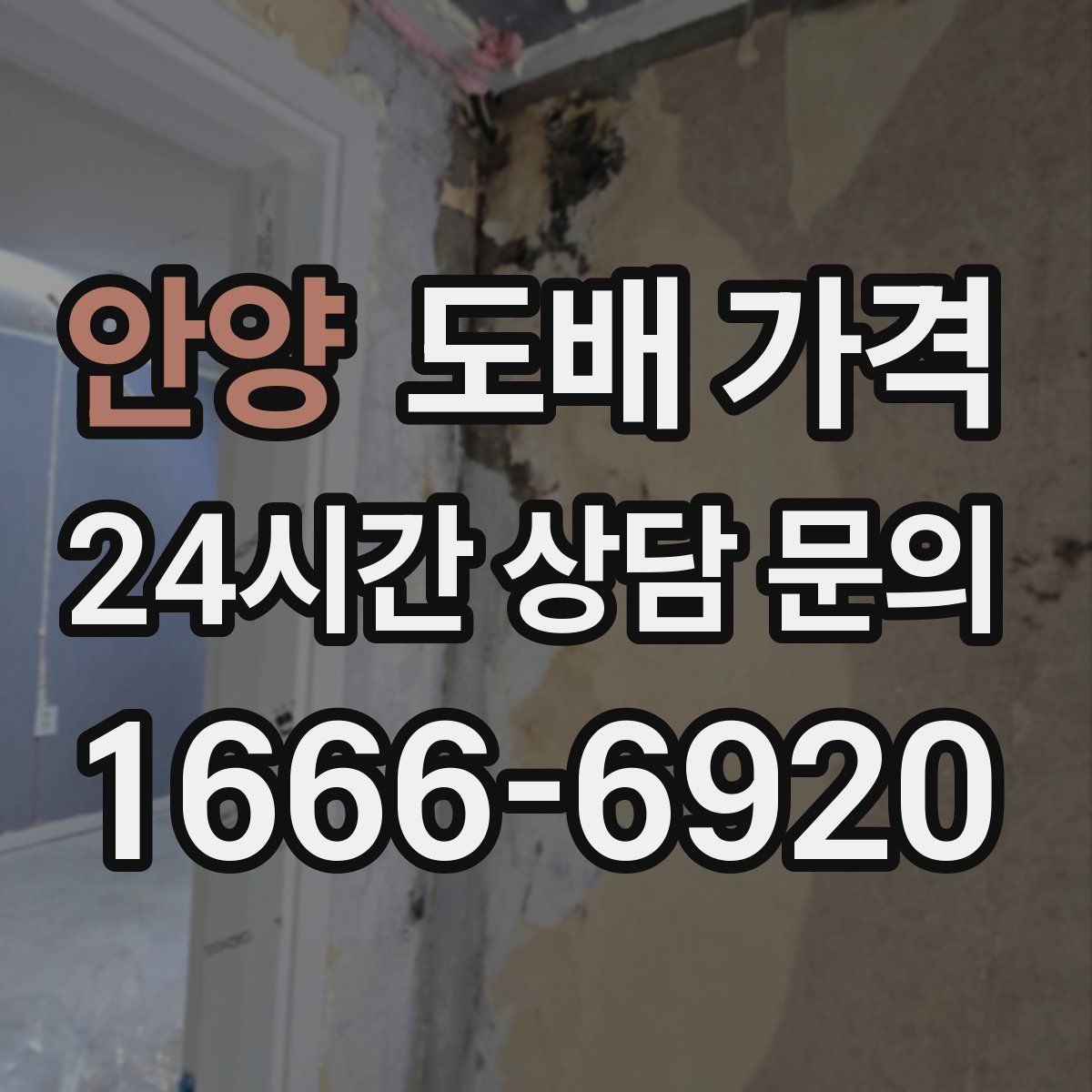 안양 도배 가격