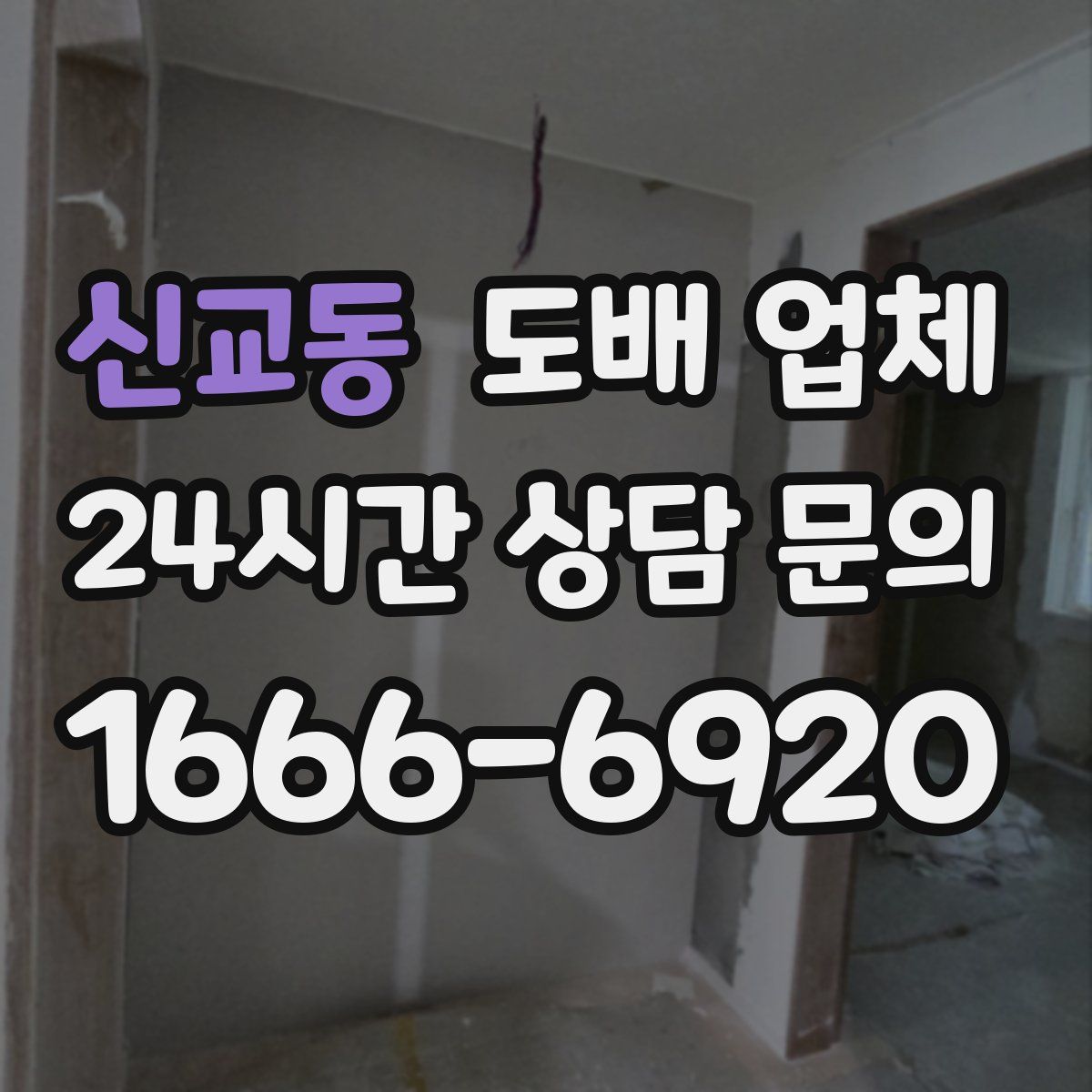 신교동 도배 업체