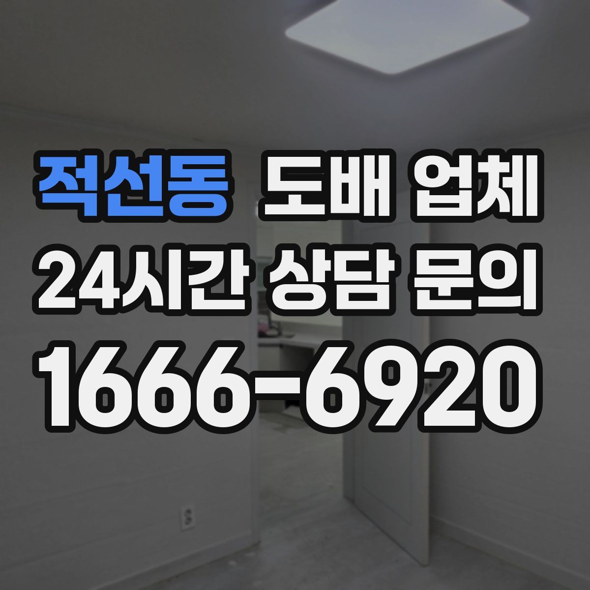 적선동 도배 업체
