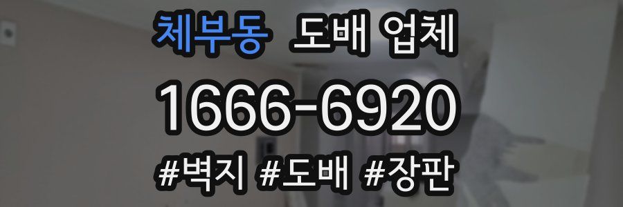 체부동 도배 업체