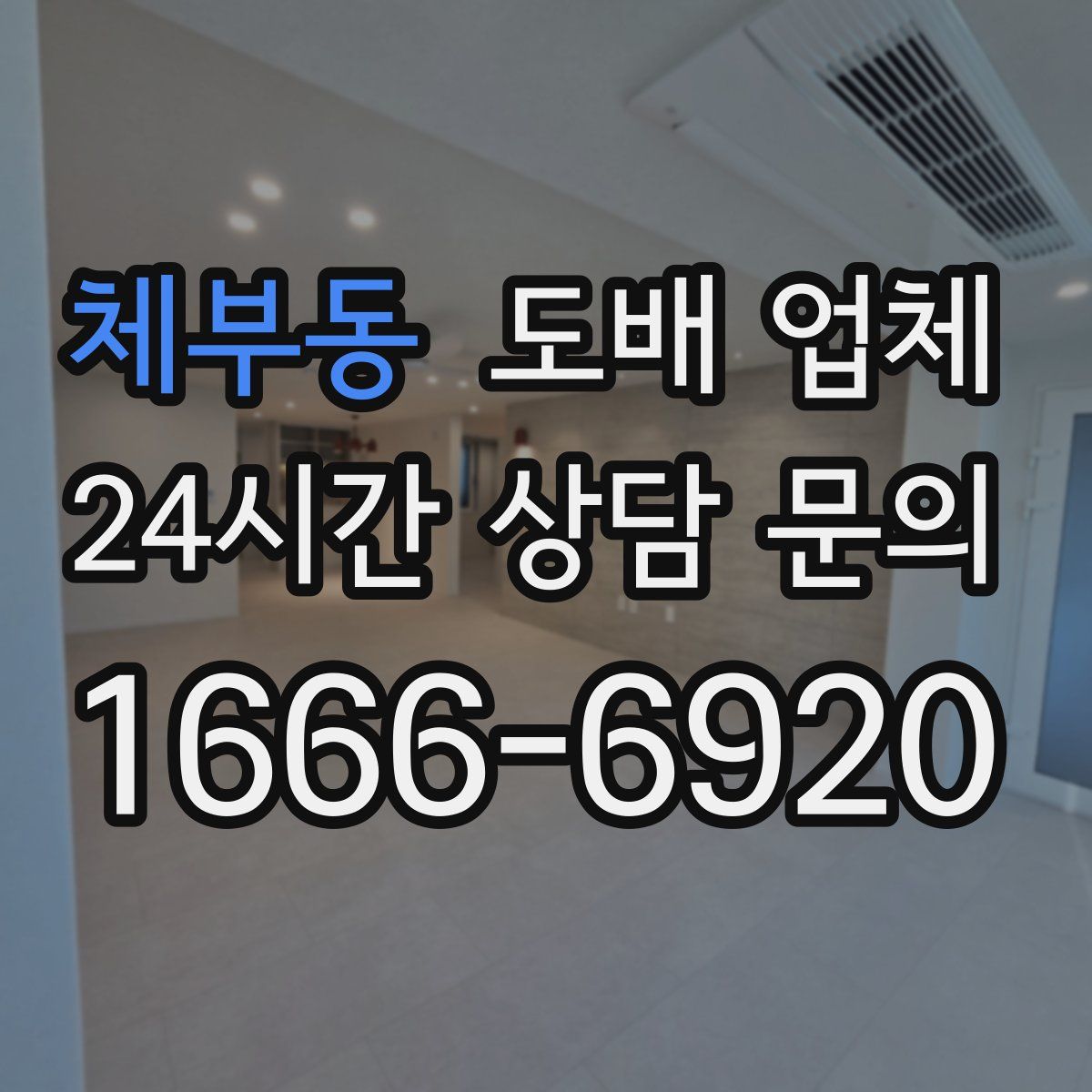 체부동 도배 업체