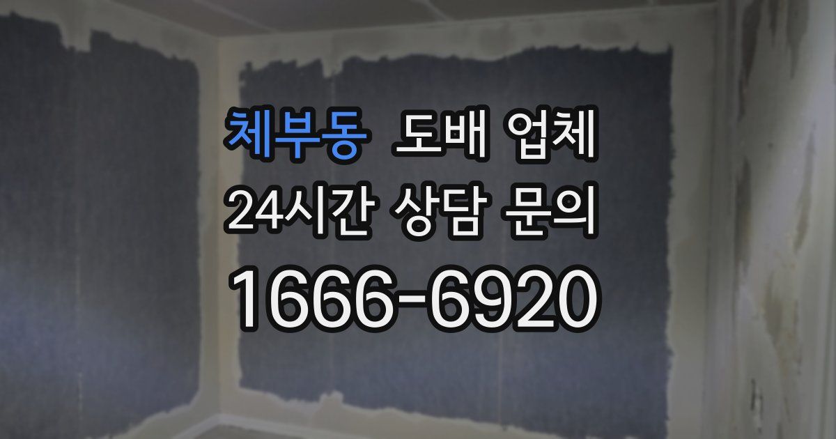 체부동 도배 업체
