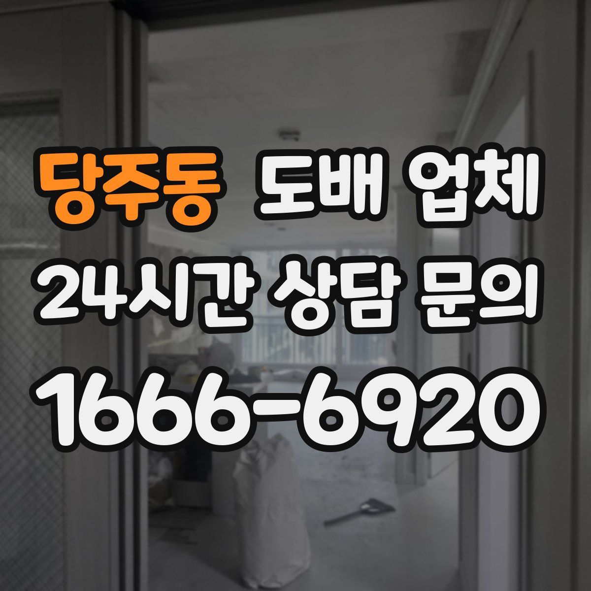 당주동 도배 업체