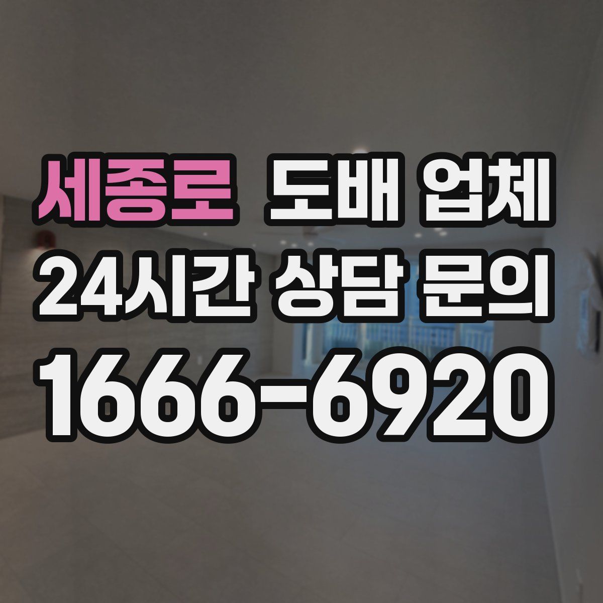 세종로 도배 업체