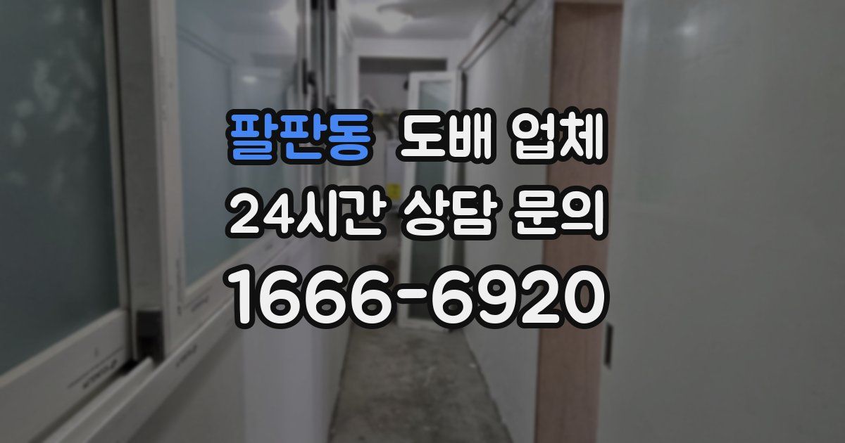 팔판동 도배 업체