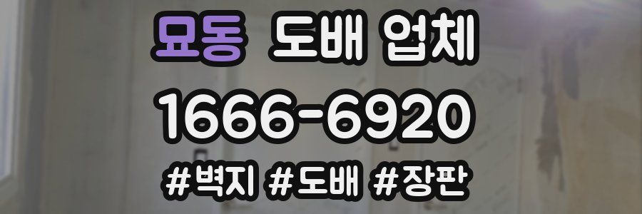 묘동 도배 업체