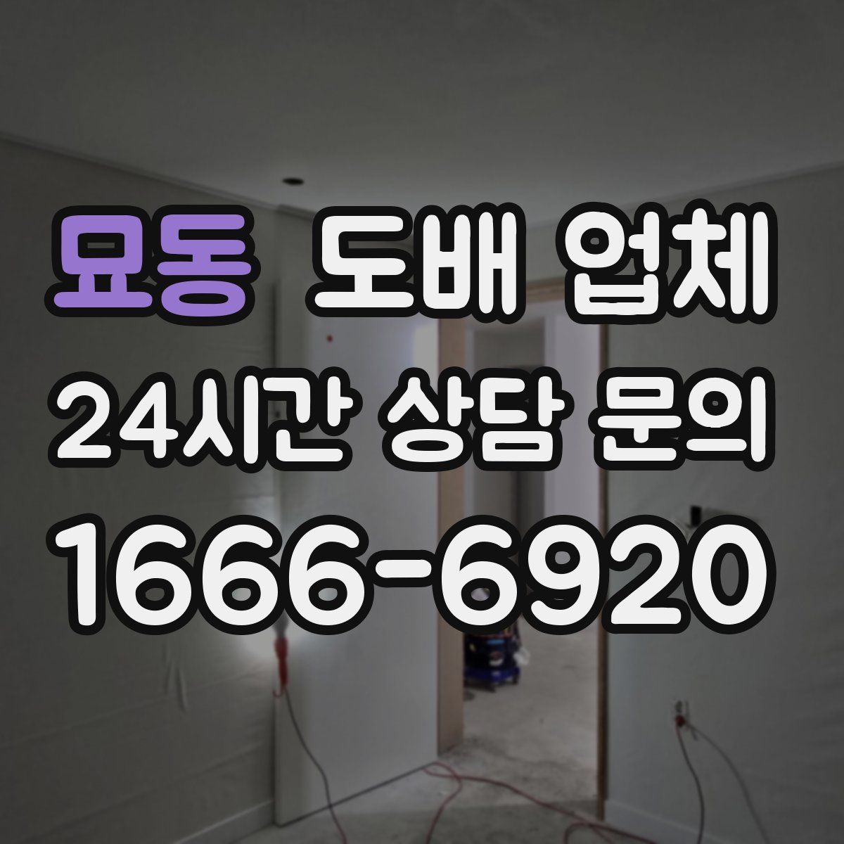 묘동 도배 업체