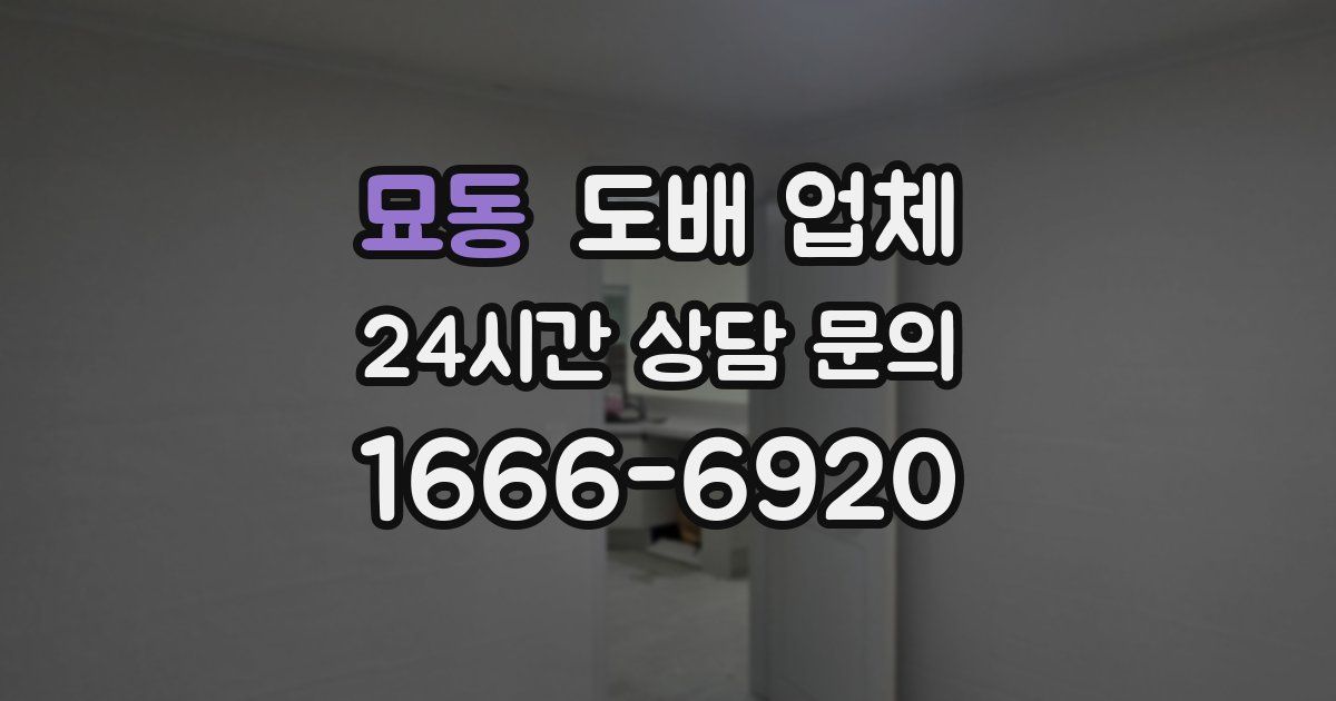 묘동 도배 업체