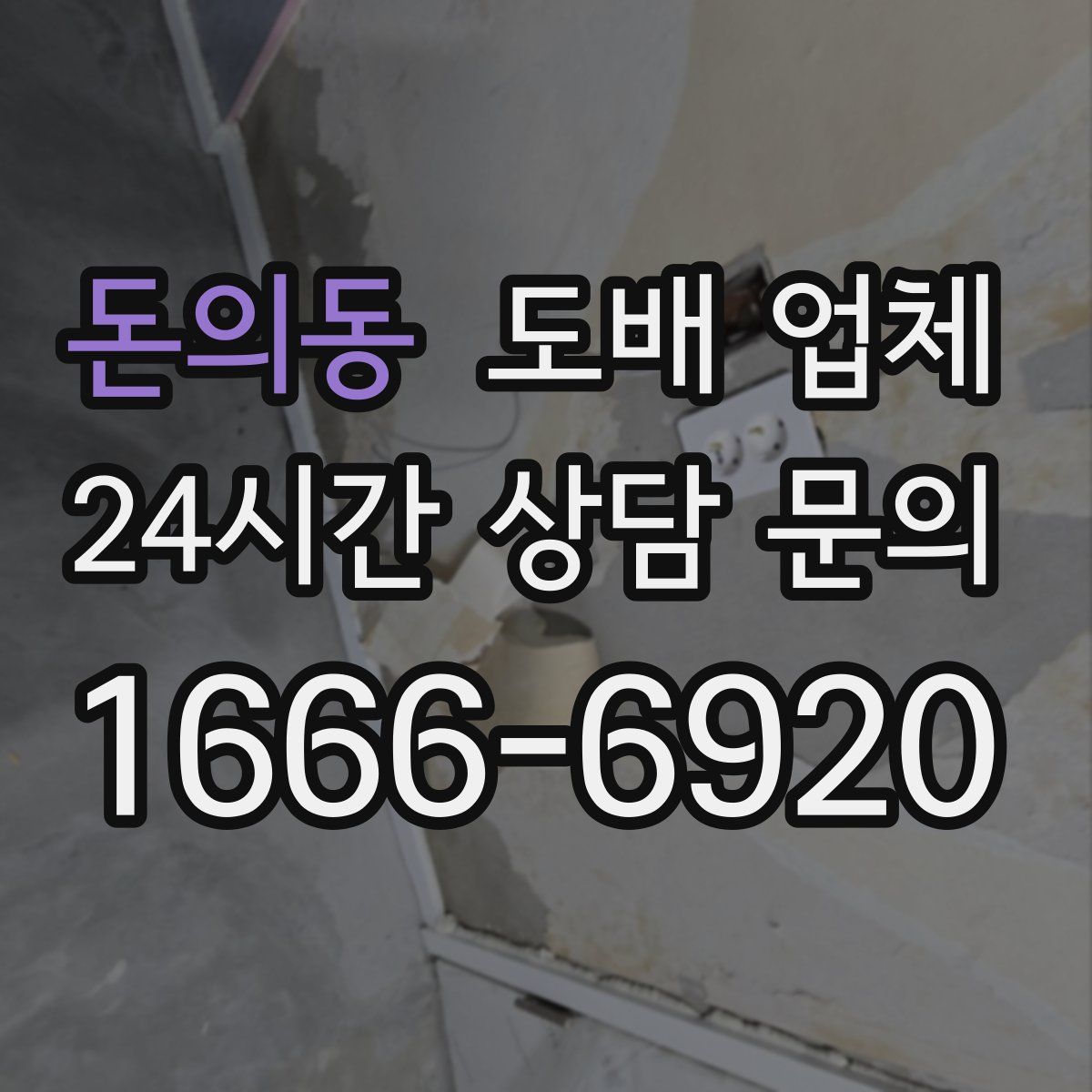 돈의동 도배 업체