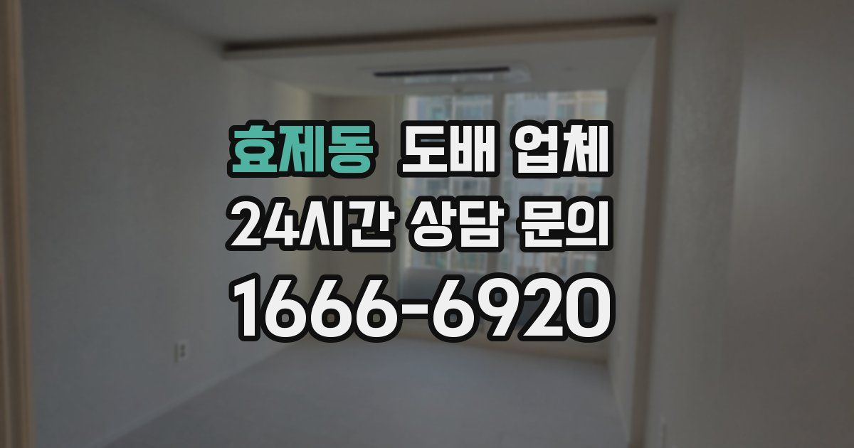 효제동 도배 업체