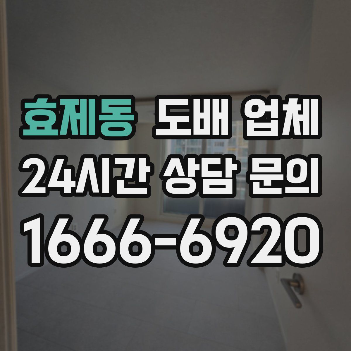 효제동 도배 업체