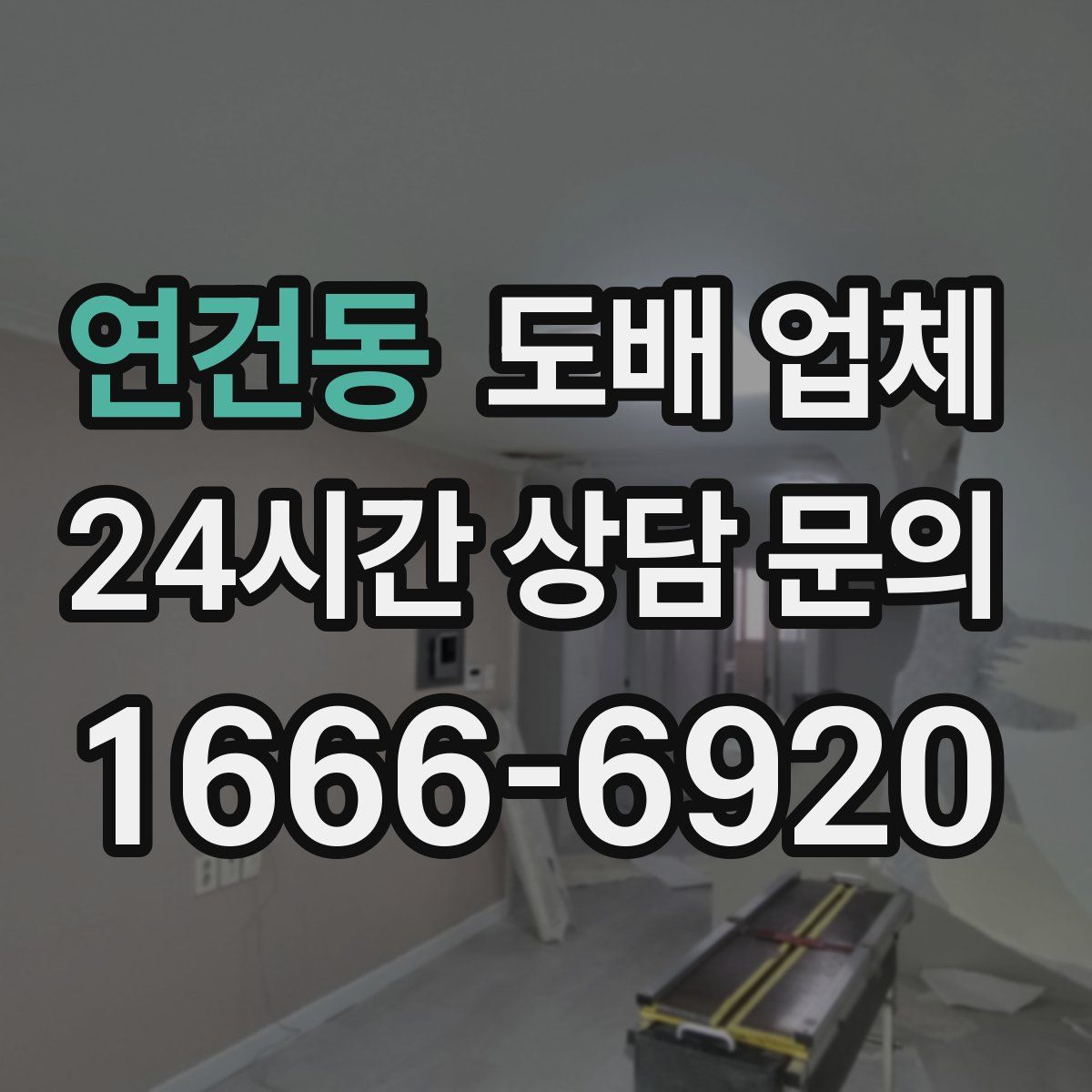 연건동 도배 업체