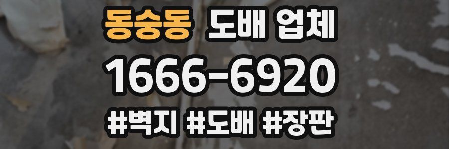 동숭동 도배 업체