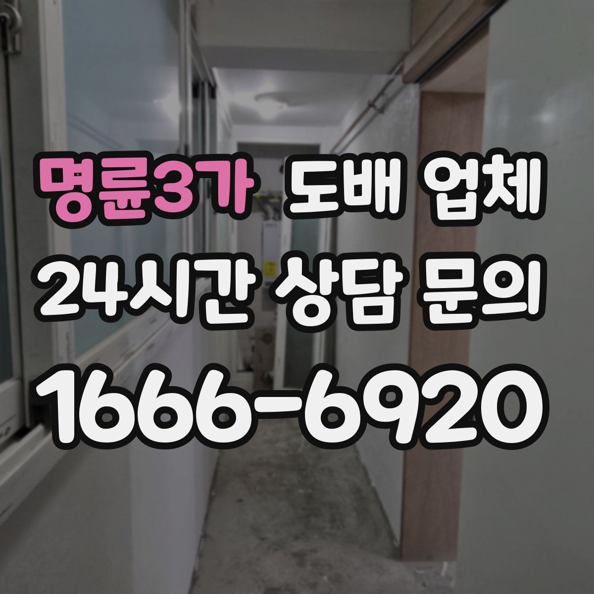 명륜3가 도배 업체