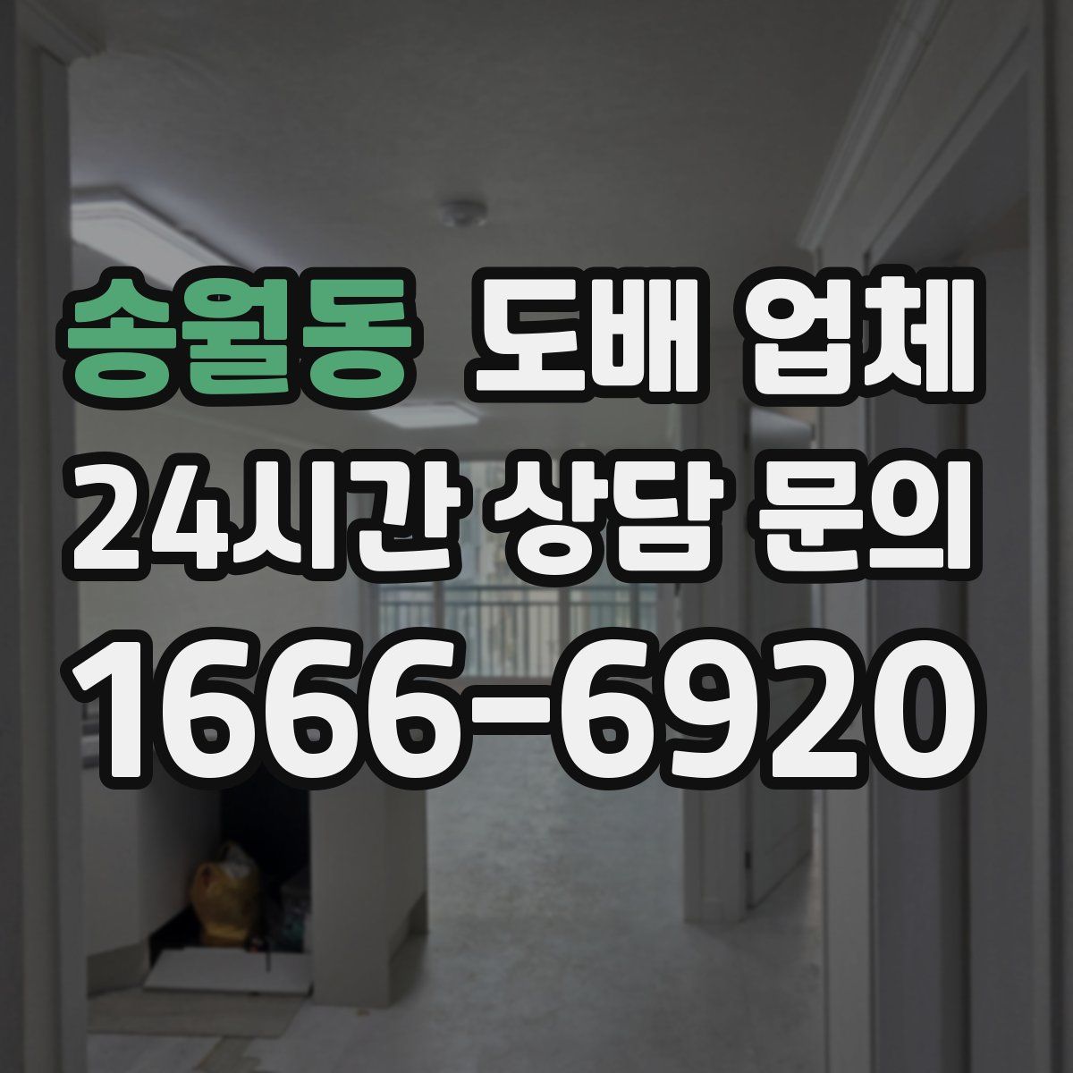 송월동 도배 업체