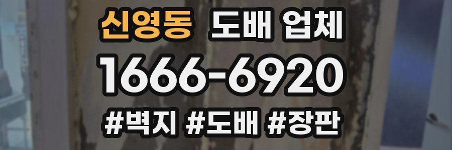 신영동 도배 업체